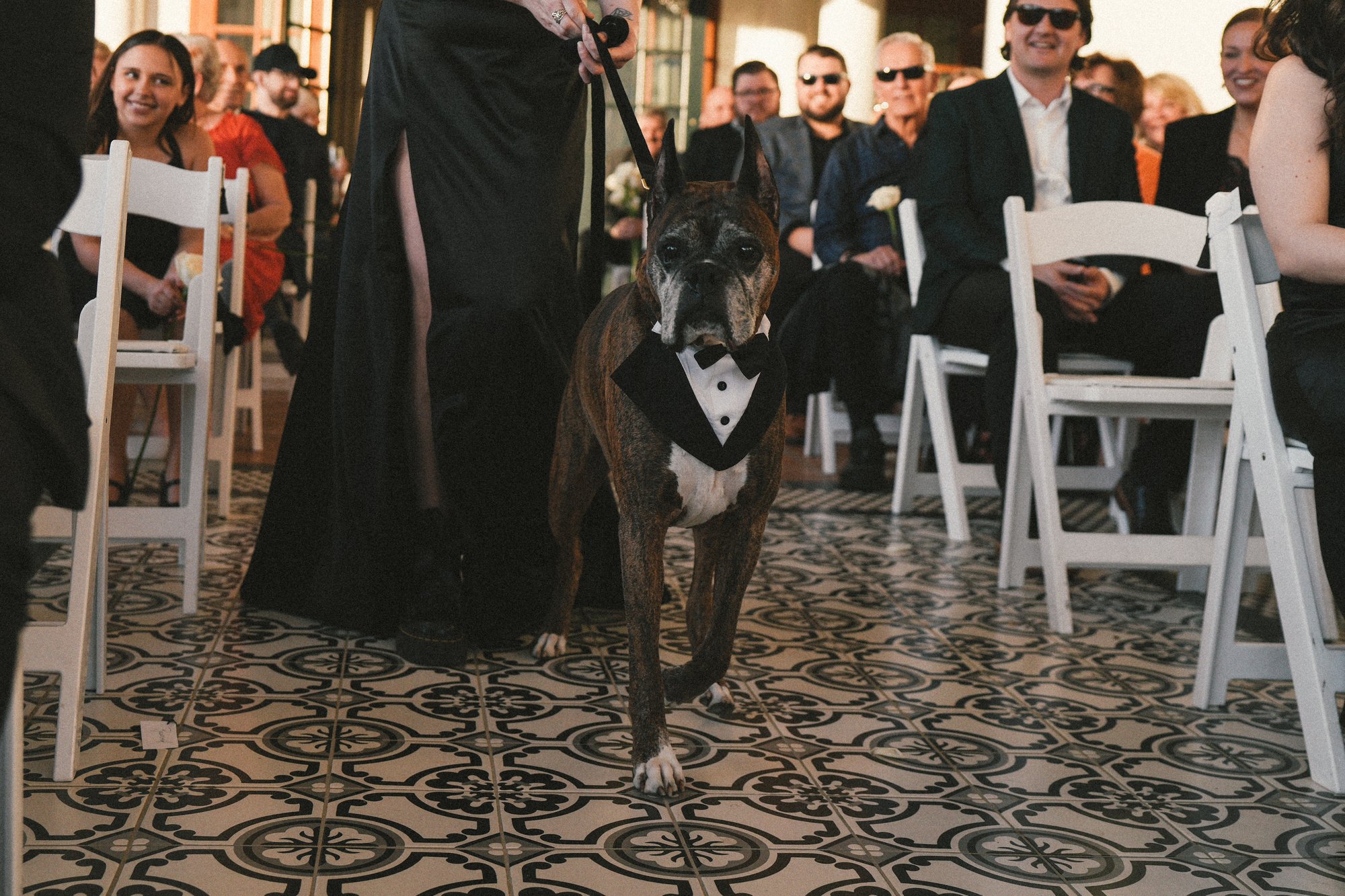Couple's dog during family portraits — Coachella Valley wedding photography